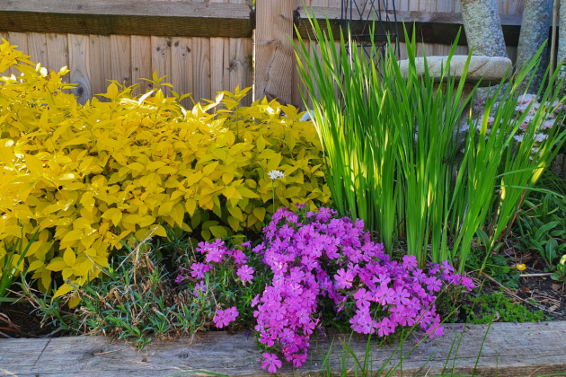 The Garden Fairy - Summer Pruning Guide