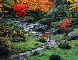 The Garden Fairy Blog - autumn pruning