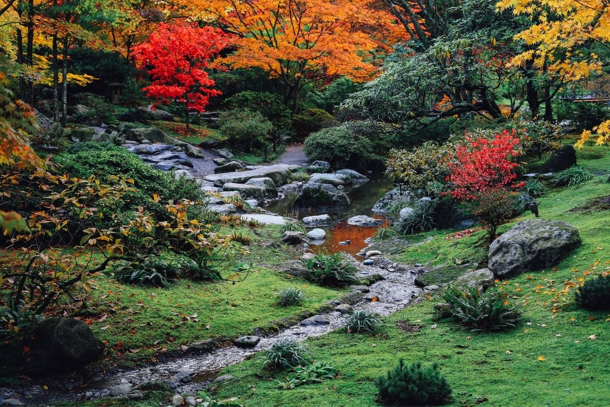 The Garden Fairy Blog - autumn pruning