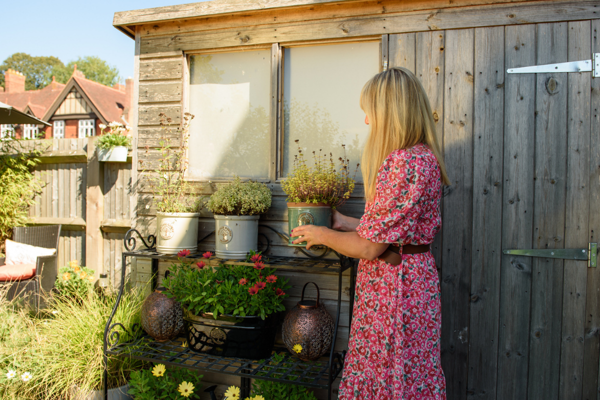 The Garden Fairy Blog - garden shed The Garden Fairy Blog - garden shed