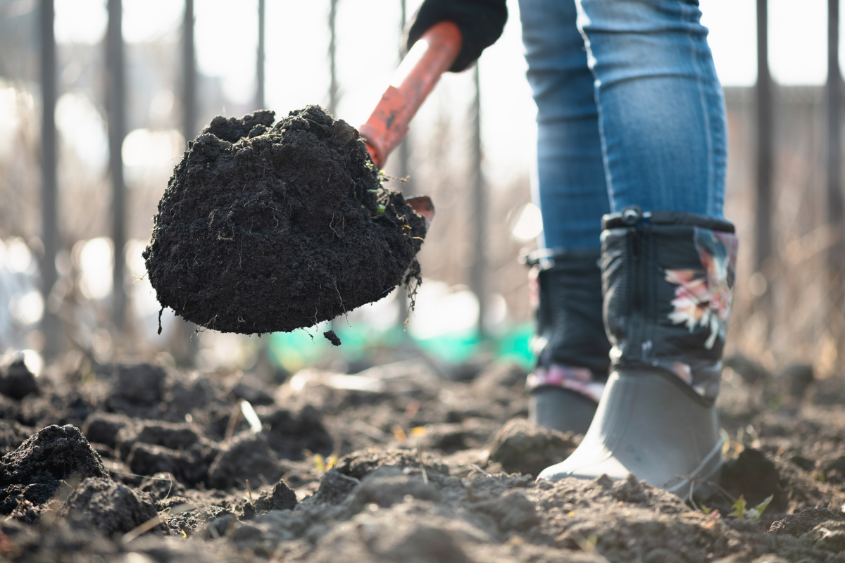 The Garden Fairy Blog - garden soil garden soil