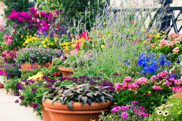 Garden Tips When Renting A House - pots and containers