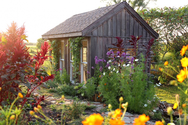 Perennials for your garden