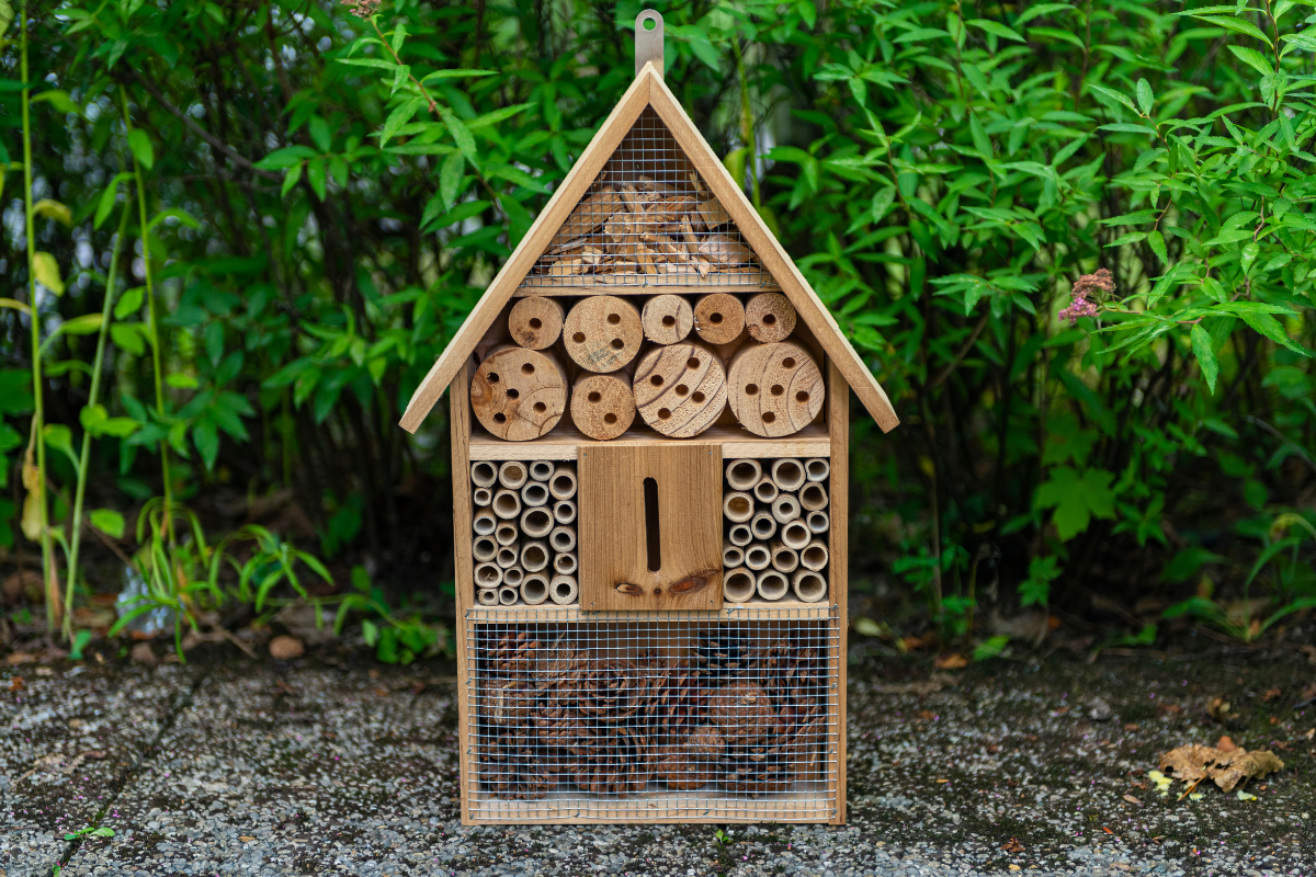 Wildlife friendly garden - insect hotel